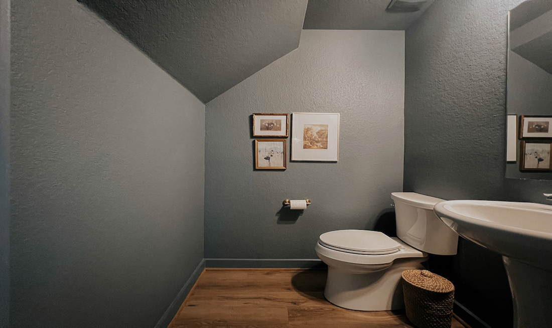 Painted powder room with an EasyRoller